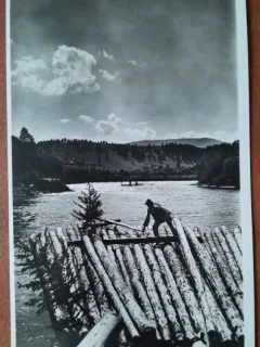 Fotografie tip carte postala, Pluta pe Bistrita, perioada interbelica