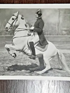 Fotografie tip Carte Postala, Scoala spaniola de echitatie de la Viena, 1931, necirculata