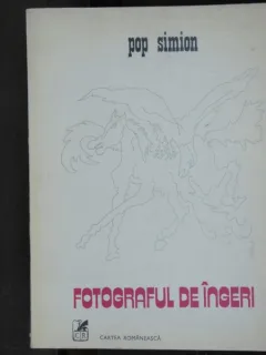 FOTOGRAFUL DE INGERI - POP SIMION