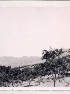 Fotogtafie din decembrie 1937