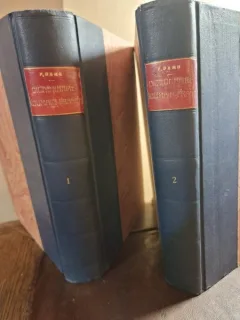 Frederic Dame, Nouveau Dictionnaire Roumain-Français