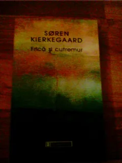 FRICA SI CUTREMUR-SOREN KIERKEGAARD