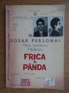 Frica si panda - Florin Constantin Pavlovici