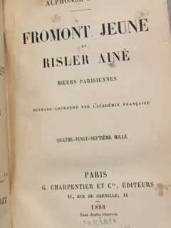 Fromont Jeune et Risler aine - Alphonse Daudet