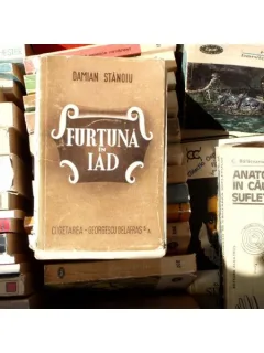 Furtuna in Iad , Damian Stanoiu , 1956