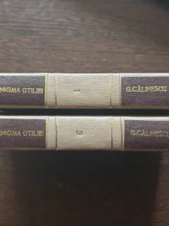 G. Calinescu - Enigma Otiliei (2 volume)