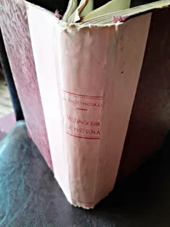 G. G. Antonescu - Pedagogia Generala
