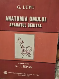 G. Lupu - Anatomia omului. Aparatul genital