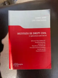 Gabriel Boroi - Institutii de drept civil in reglementarea noului Cod civil