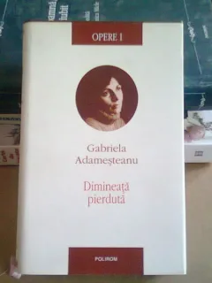 Gabriela Adamesteanu - Dimineata pierduta