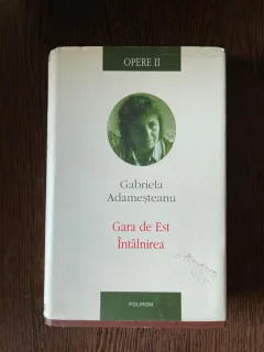 Gabriela Adamesteanu - Opere 2. Gara de Est. Intalnirea