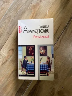 Gabriela Adamesteanu - Provizorat (Top 10+)