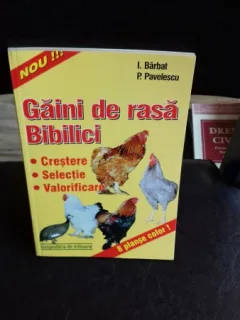 GAINI DE RASA BIBILICI - I. BARBAT