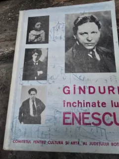 GANDURI INCHINATE LUI ENESCU - VICTOR CRACIUN /PETRE CODREA
