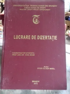 GARANTIILE REALE IN LUMINA NOULUI COD PENAL/LUCRARE DE DISERTATIE - PITER OLIVER MIREL