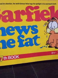 Garfield chews the fat - Jim Davis