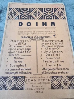 Gavrii Galinescu - Doina