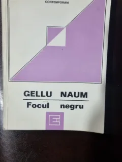 Gellu Naum - Focul negru