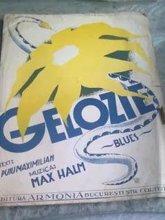 GELOZIE. BLUES - TEXT PUIU MAXIMILIAN, MUZICA MAX HALM