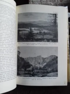 GEOLOGIA MUNTILOR APUSENI - V. IANOVICI