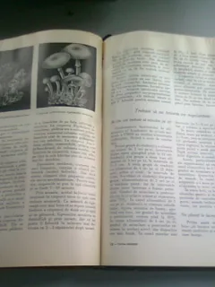 GEOMORFOLOGIA ROMANIEI - PETRE COTET