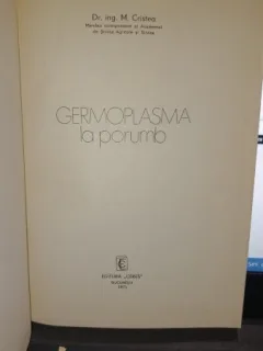 Germoplasma la porumb - M.Cristea