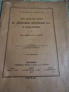 Gh. Florea, M. D. David - Nota asupra unui craniu de "Rinoceros Leptorhinus Cuv."