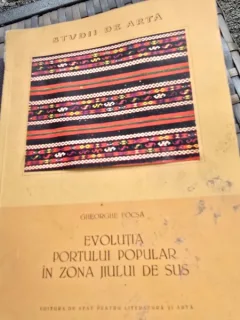 Gheorghe Focsa, Evolutia portului popular in zona Jiului de Sus