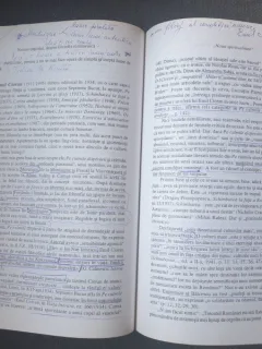 Gheorghe Vladutescu - Neconventional, despre filosofia romaneasca