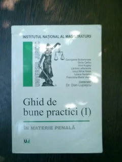 Ghid de bune practici in materie penala - Georgiana Bodoroncea, Silvia Cerbu, Irina Kuglay