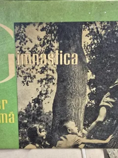 Gimnastica in aer liber sub forma de joc