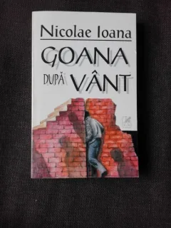 GOANA DUPA VANT - NICOLAE IOANA