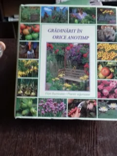 GRADINARIT IN ORICE ANOTIMP, FLORI FRUMOASE, PLANTE VIGUROASE