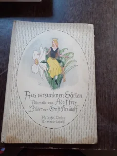 GRADINILE SCUFUNDATE - ADOLF FREY  (CARTE PENTRU COPII, IN LIMBA GERMANA)