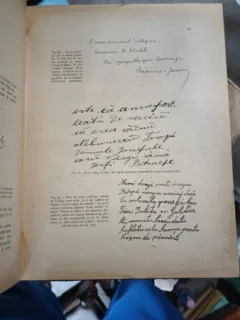 GRAFOLOGIA  SI EXPERTIZELE IN SCRIERI - HENRIC STAHL