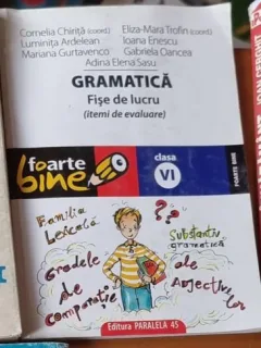 Gramatica. Fise de Lucru pentru clasa a VI-a