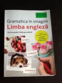 Gramatica in imagini a limbii engleza - Brian Melican