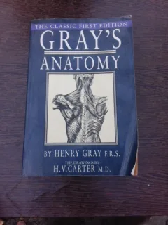Gray s anatomy - Henry Gray F.R.S.