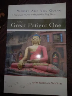 Great Patient One Dhamma Books  - Ajahn Sucitto, Nick Scott