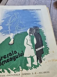 Greseala Mosneagului - Mona Radulescu