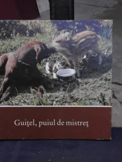 GUITEL, PUIUL DE MISTRET - HERBERT SEYFARTH