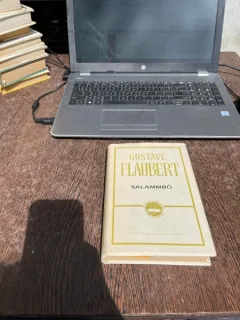 Gustave Flaubert - Salammbo (editie cartonata)