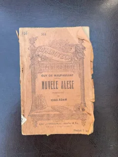 Guy de Maupassant - Nuvele alese (1930)