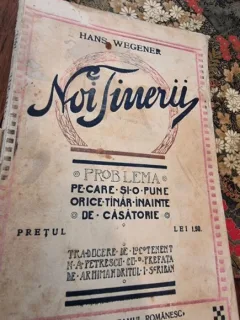 Hans Wegener - Noi Tinerii! Problema pe care si-o pune orice tanar inainte de casatorie