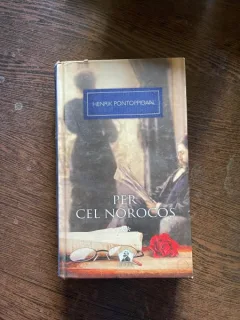 Henrik Pontoppidan - Per cel norocos (volumul 2)