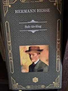 Hermann Hesse - Sub tavalug