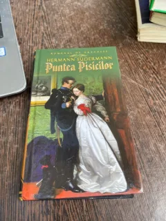 Hermann Sudermann - Puntea pisicilor