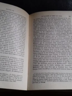 HISTOIRE ANCIENNE DES PEUPLES DE L'ORIENT - G. MASPERO