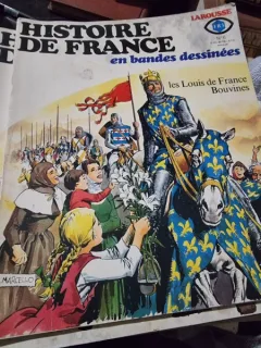 Histoire de France en bandes dessinée nr.6
