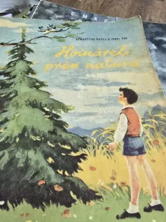 Hoinareli prin natura - Demostene Botez, Ionel Pop